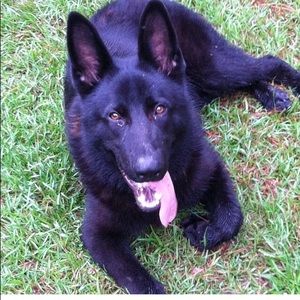 Meet your Posher, Connie